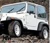 Parafanghi Bushwacker Wrangler YJ 