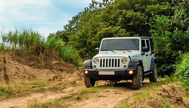 Picture for category JEEP