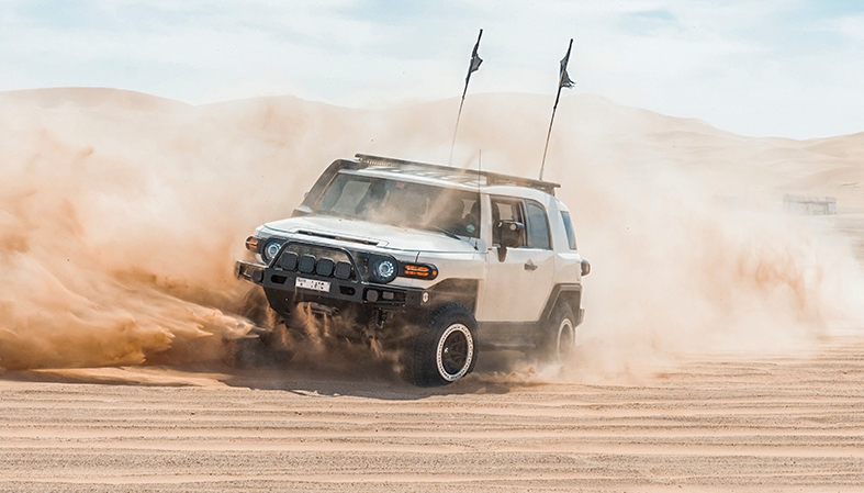 Immagine per la categoria FJ CRUISER