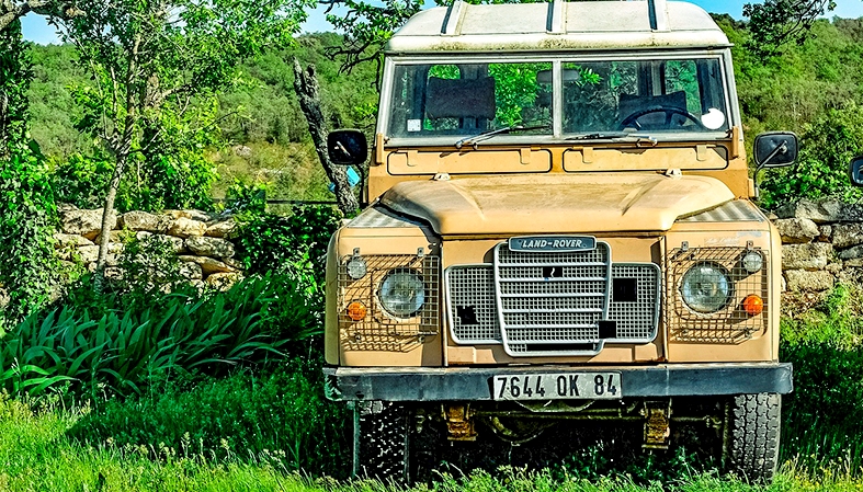 Immagine per la categoria LAND ROVER