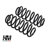 Pajero V60 Rear Springs