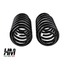 Pajero V60 Rear Springs