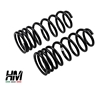 Toyota J100 rear springs